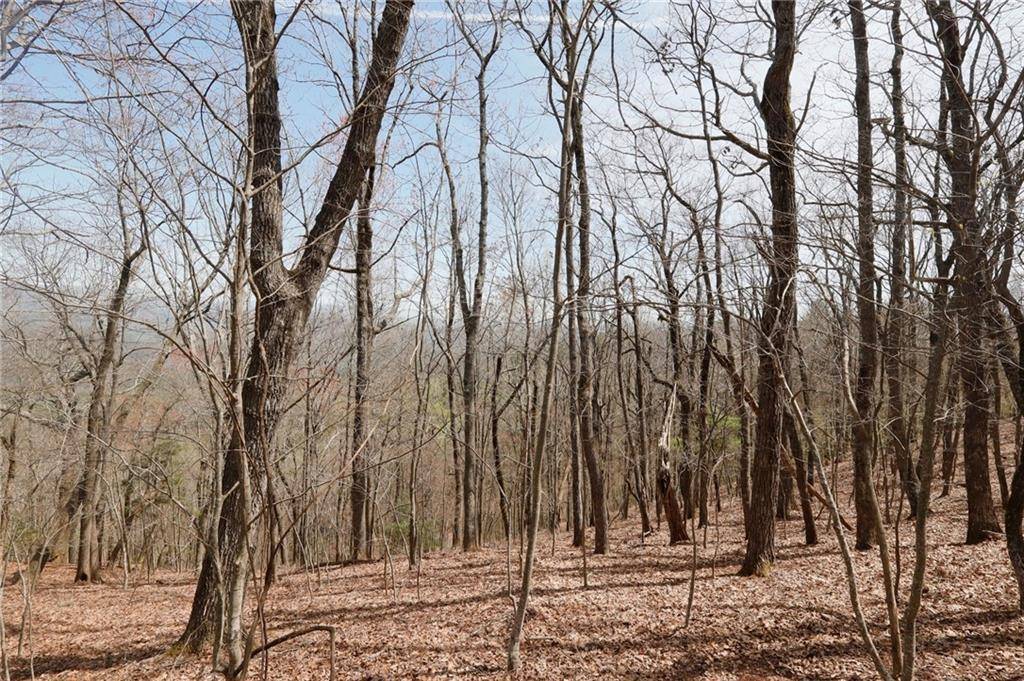 Big Canoe, GA 30143,820 Falcon Heights