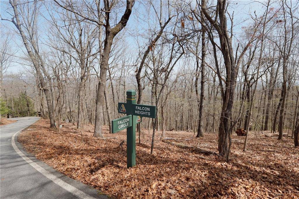 Big Canoe, GA 30143,820 Falcon Heights