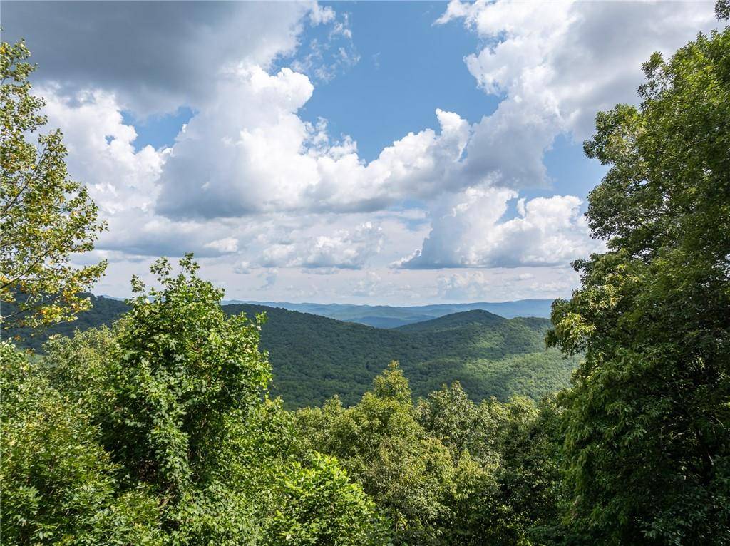 Ellijay, GA 30536,1534 Walnut RDG