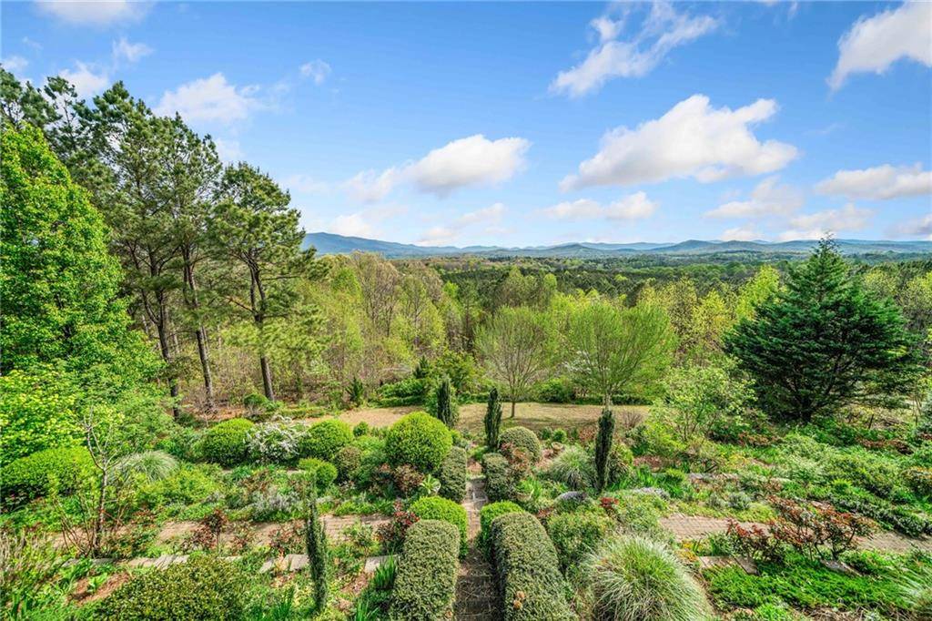 Ellijay, GA 30536,100 Fox Paw Leaf CT