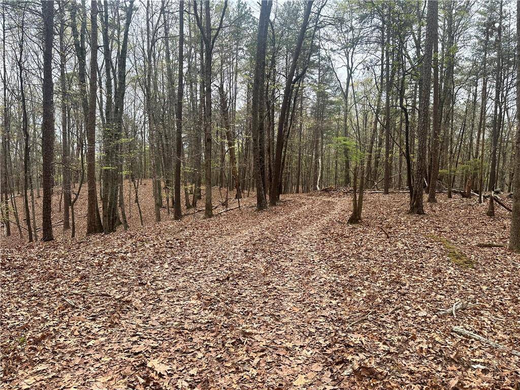 Cartersville, GA 30120,000 Lucas RD SW