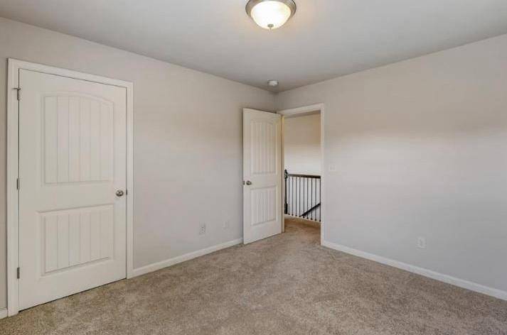Cumming, GA 30040,5130 Austrian Pine CT
