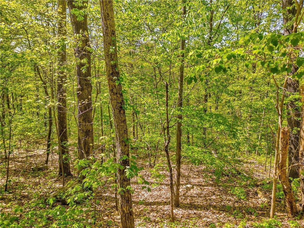 Summerville, GA 30747,418 Dunaway Gap NE