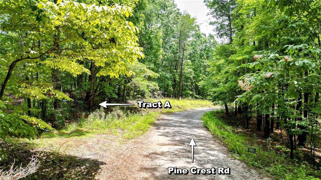 Jasper, GA 30143,47 AC Pine Crest
