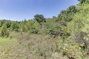 Adairsville, GA 30103,294 NW Old Dixie HWY