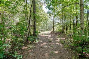 Adairsville, GA 30103,294 NW Old Dixie HWY