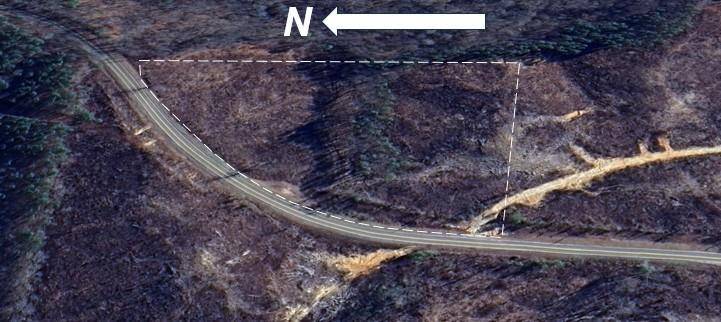 Buchanan, GA 30113,Tract1 Bethlehem Church Road