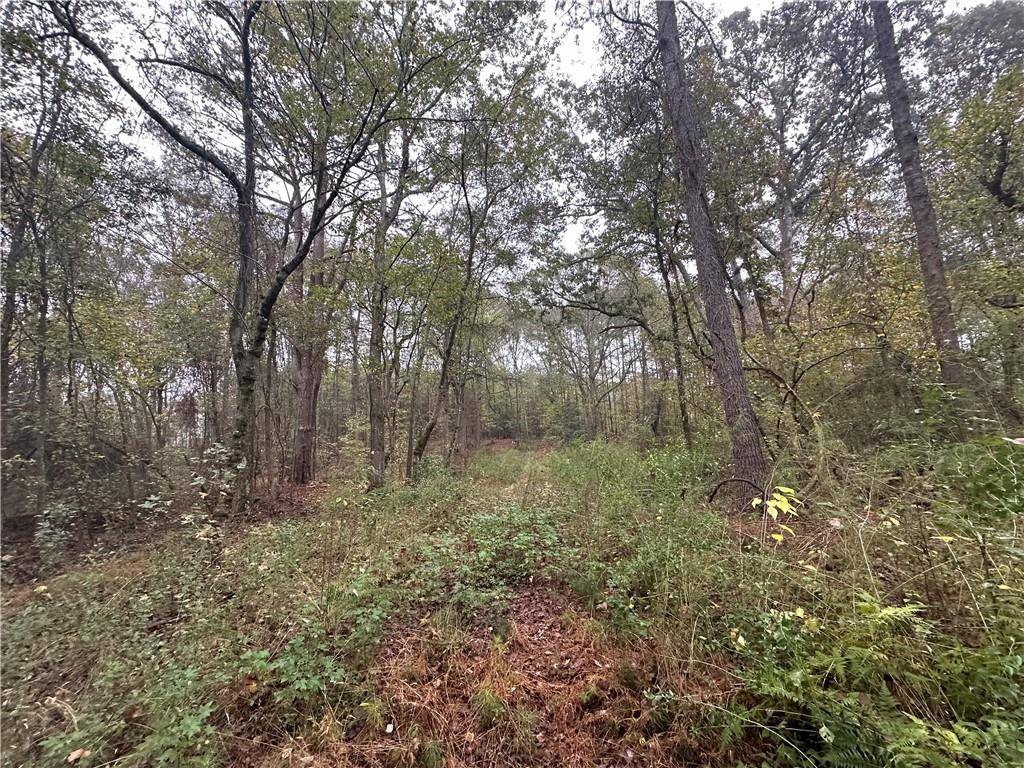 Locust Grove, GA 30248,0 South Bethany