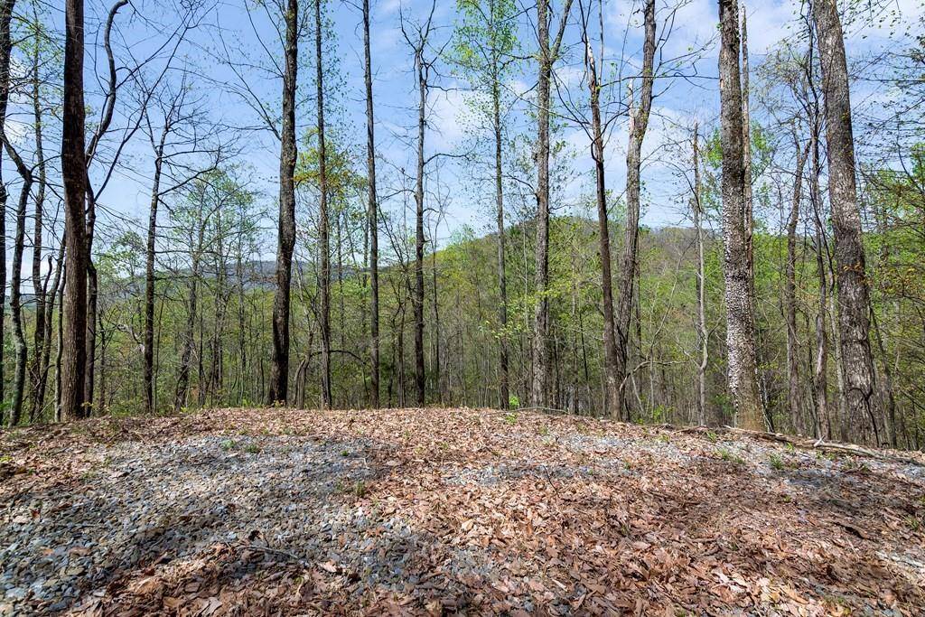 Ellijay, GA 30536,29 Hidden Valley DR