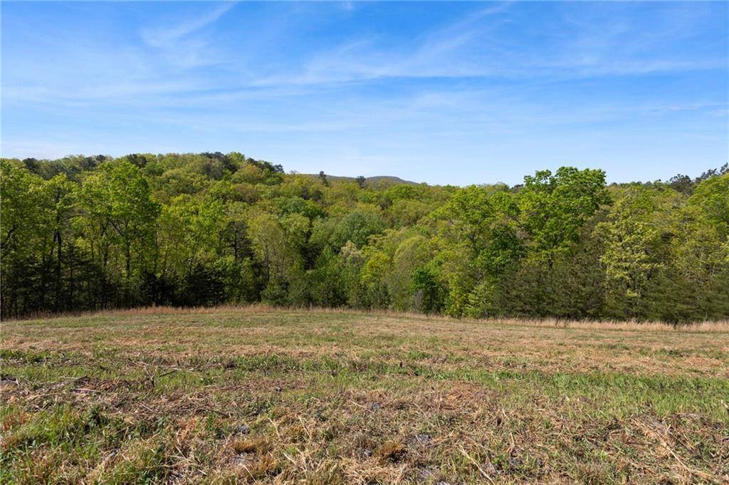 Waleska, GA 30183,7.65 Acre Garland Mountain TRL