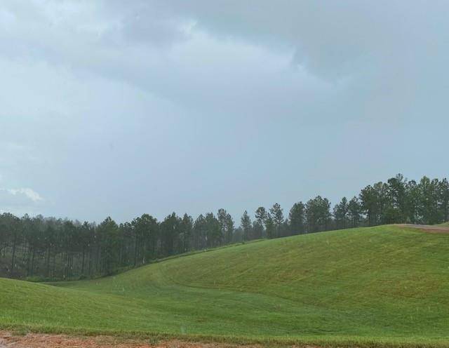 Ellijay, GA 30540,0 High River RD