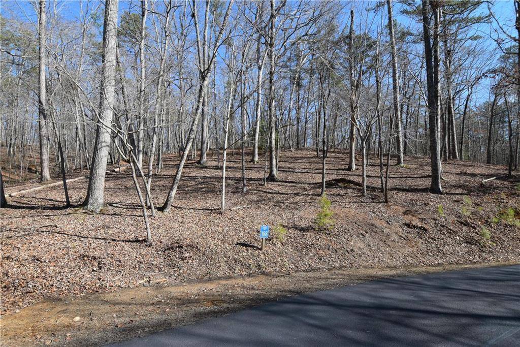 Ellijay, GA 30540,00 Harris Ridge LN