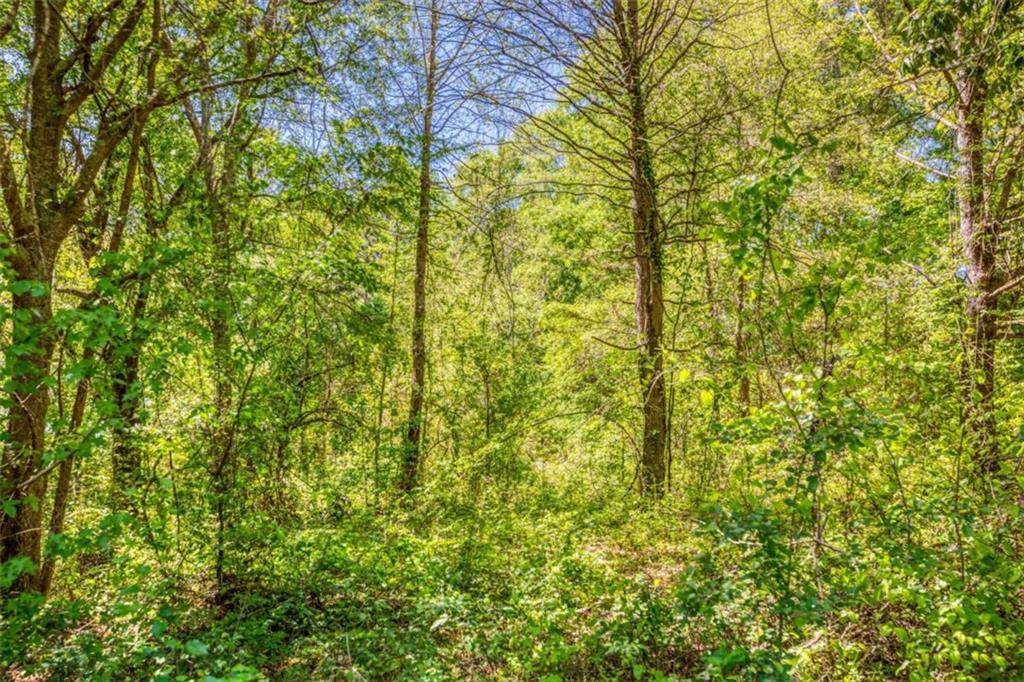 Bethlehem, GA 30620,0 Highway 11