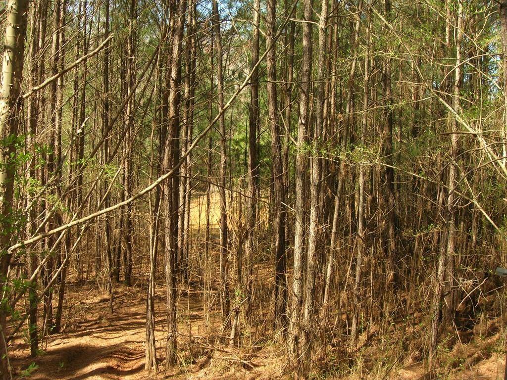 Bremen, GA 30110,744 Tucker TRL