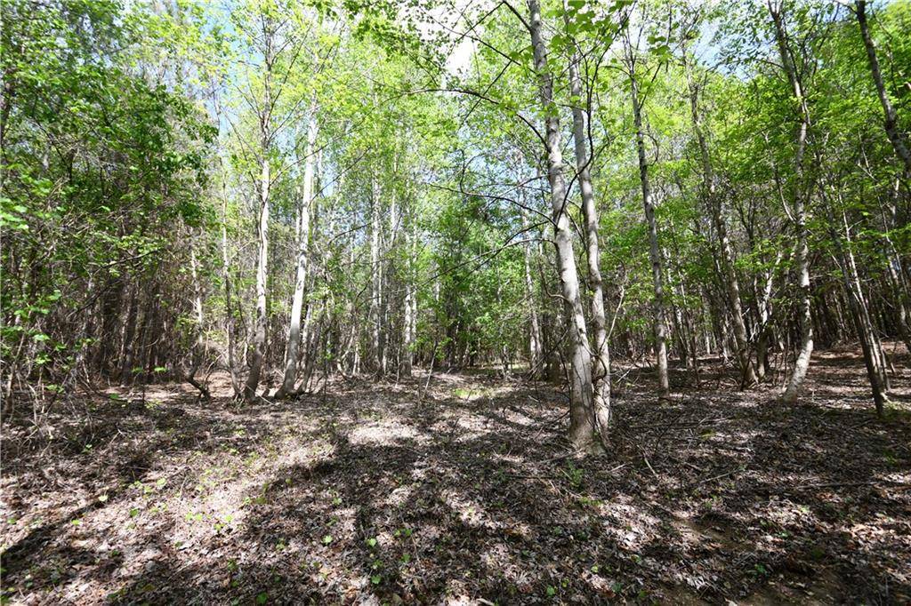 Buchanan, GA 30113,00001 Mt View RD