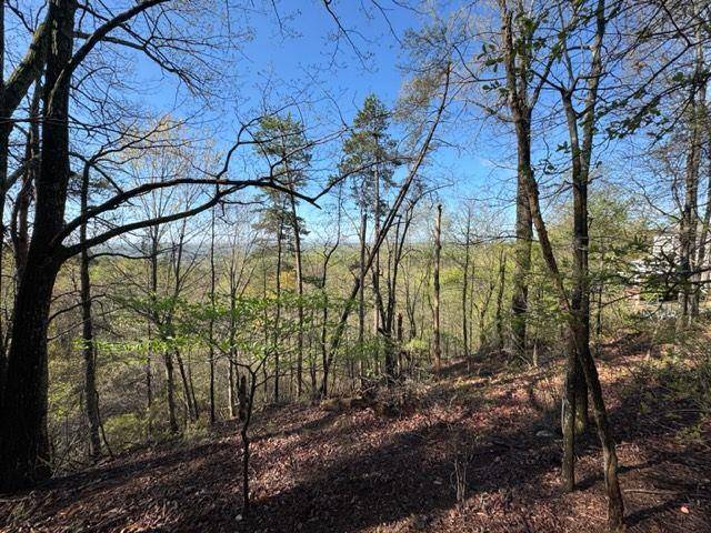 Dahlonega, GA 30533,0 CROWN MOUNTAIN DR