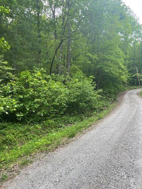 Dawsonville, GA 30534,0 McCormick DR