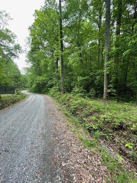 Dawsonville, GA 30534,0 McCormick DR