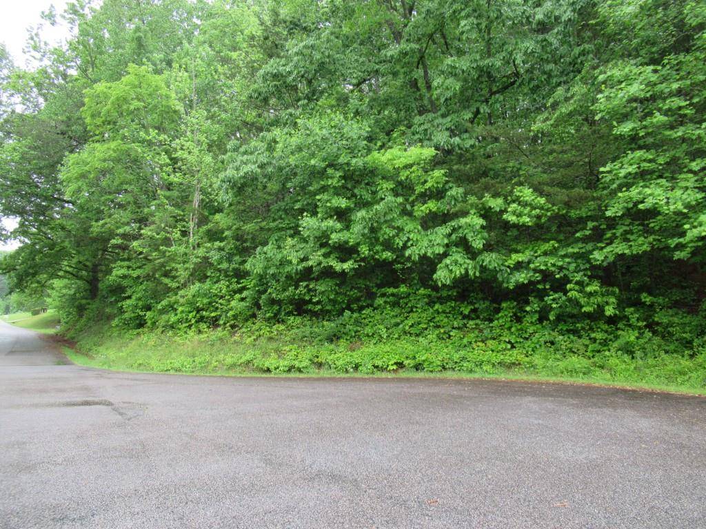Cleveland, GA 30528,0 Meadow Crest DR