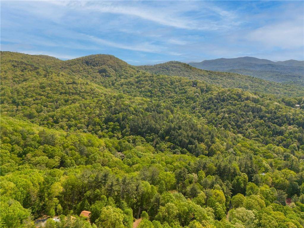 Ellijay, GA 30540,45 Amy Creek DR