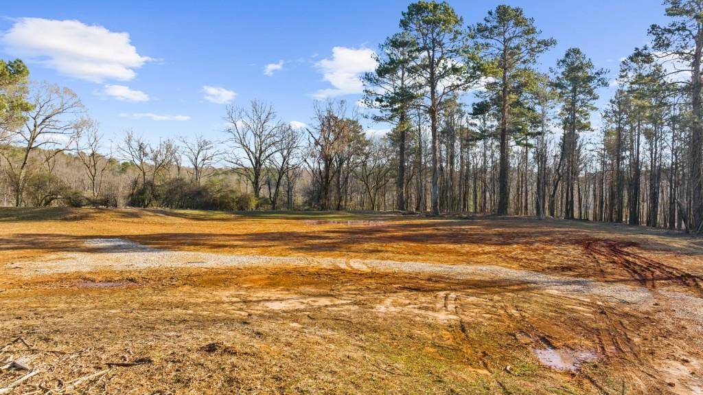 Alpharetta, GA 30004,113 Hickory Flat Rd