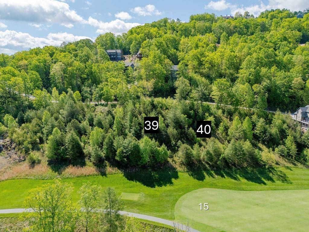 Clayton, GA 30525,0 Bent Grass WAY