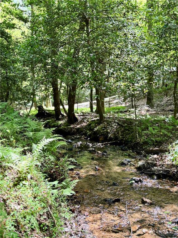 Ellijay, GA 30540,308 Creekside TRL