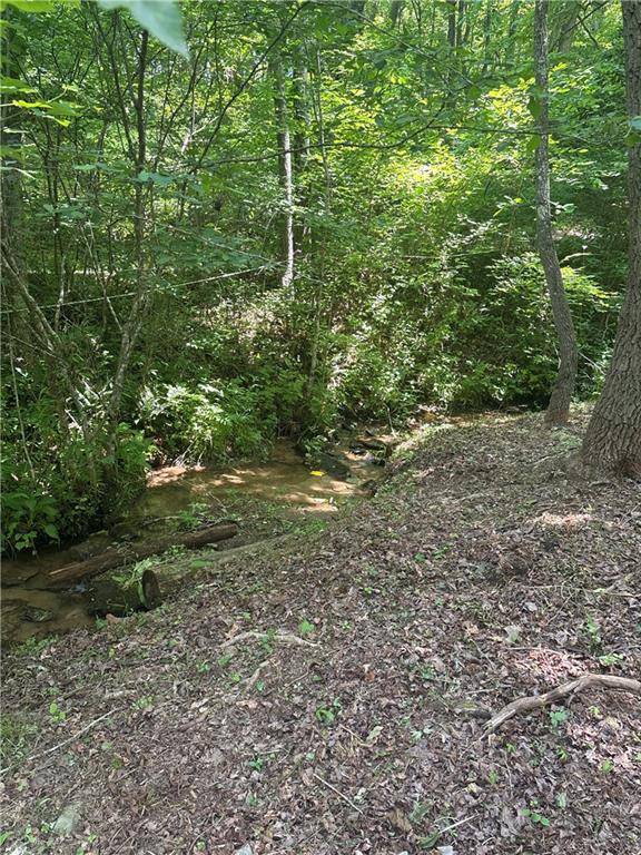 Mineral Bluff, GA 30559,149 Happy Hollow Lane