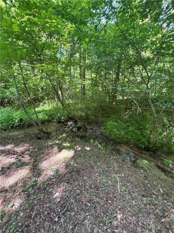 Mineral Bluff, GA 30559,149 Happy Hollow Lane