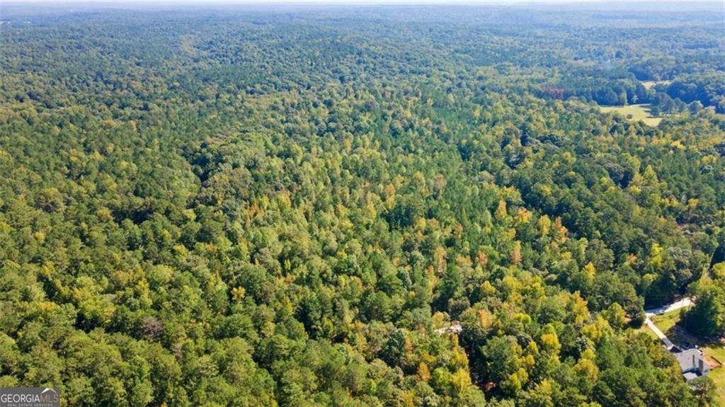 Chattahoochee Hills, GA 30213,0 steed