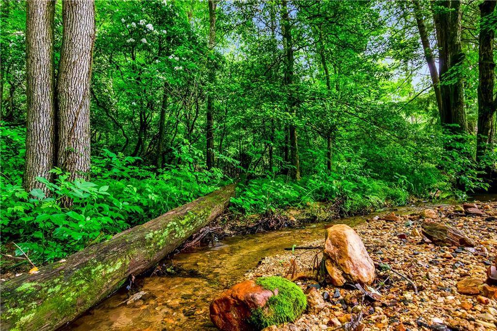 Ellijay, GA 30536,192 Mooney Drive