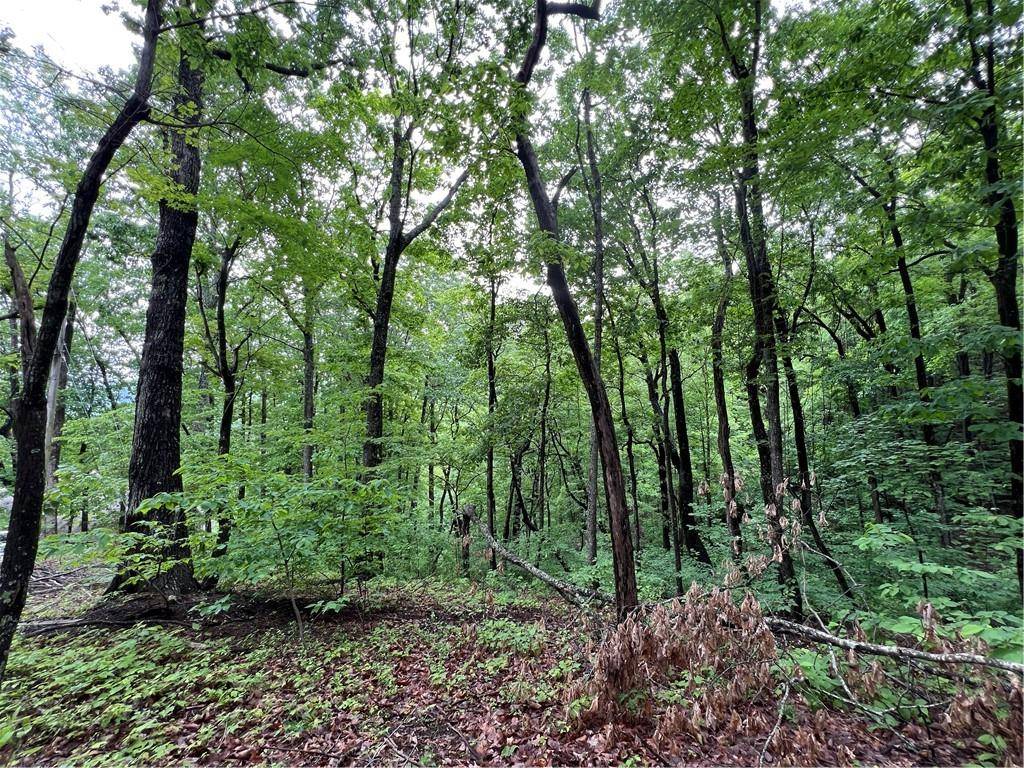 Jasper, GA 30143,245 Sassafras Mountain TRL