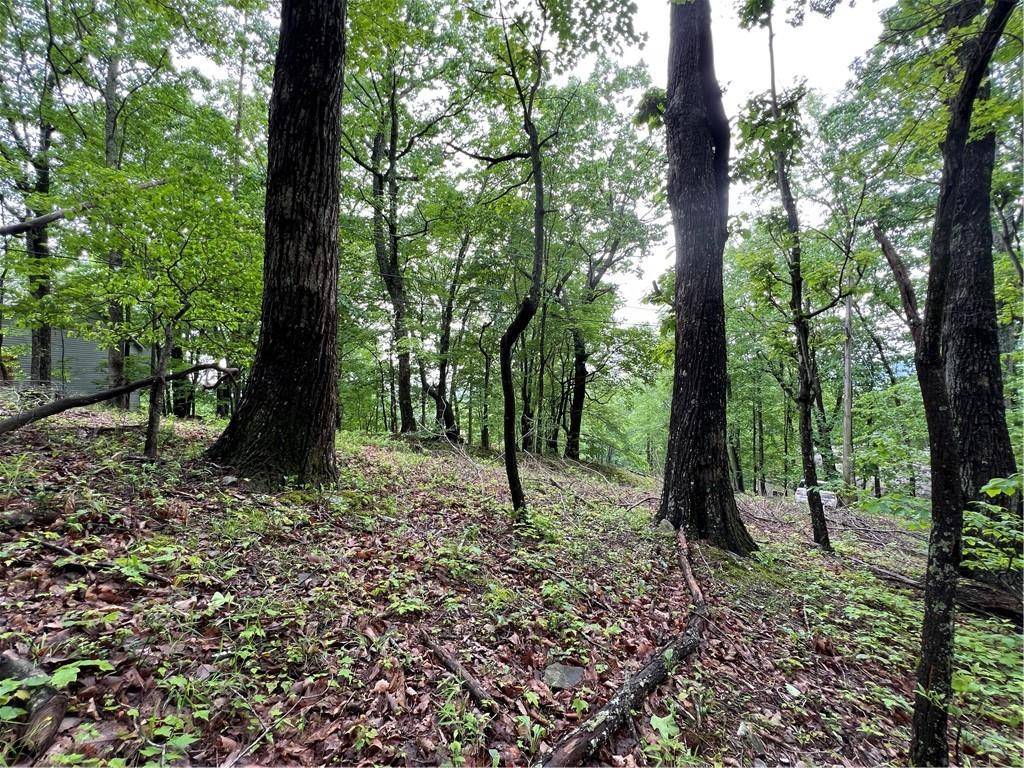 Jasper, GA 30143,245 Sassafras Mountain TRL
