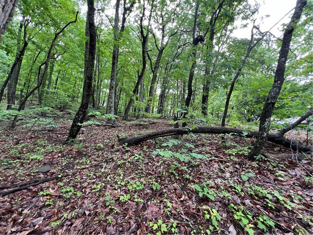 Jasper, GA 30143,245 Sassafras Mountain TRL