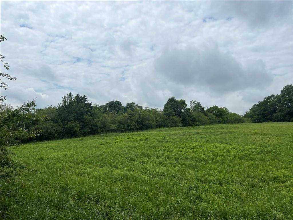 Resaca, GA 30735,2895 Pine Chapel RD NE