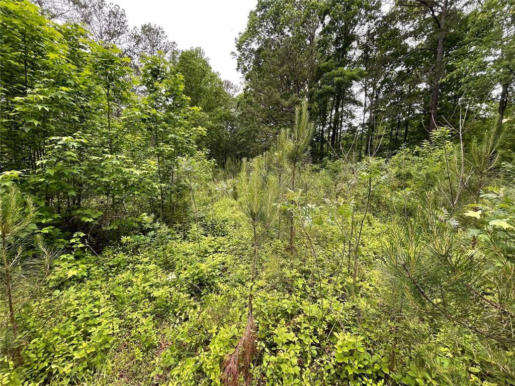 Covington, GA 30016,575 Anderson Creek rd RD