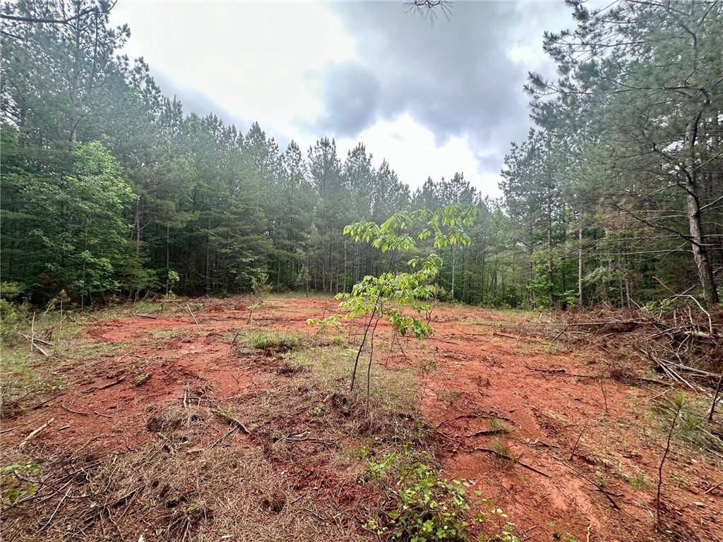 Dahlonega, GA 30533,5.3-/+ Patriot