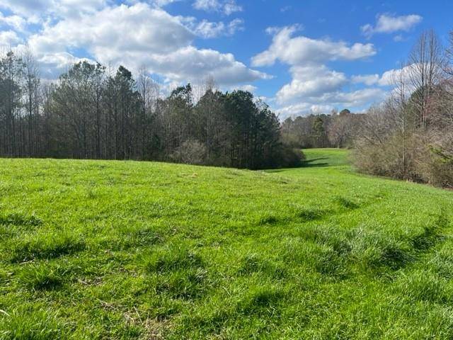 Talking Rock, GA 30175,3011 Mark Foster