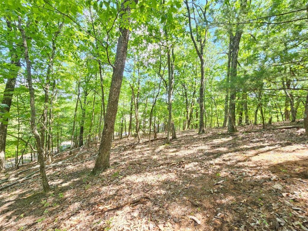Jasper, GA 30143,0 Turnbury LN