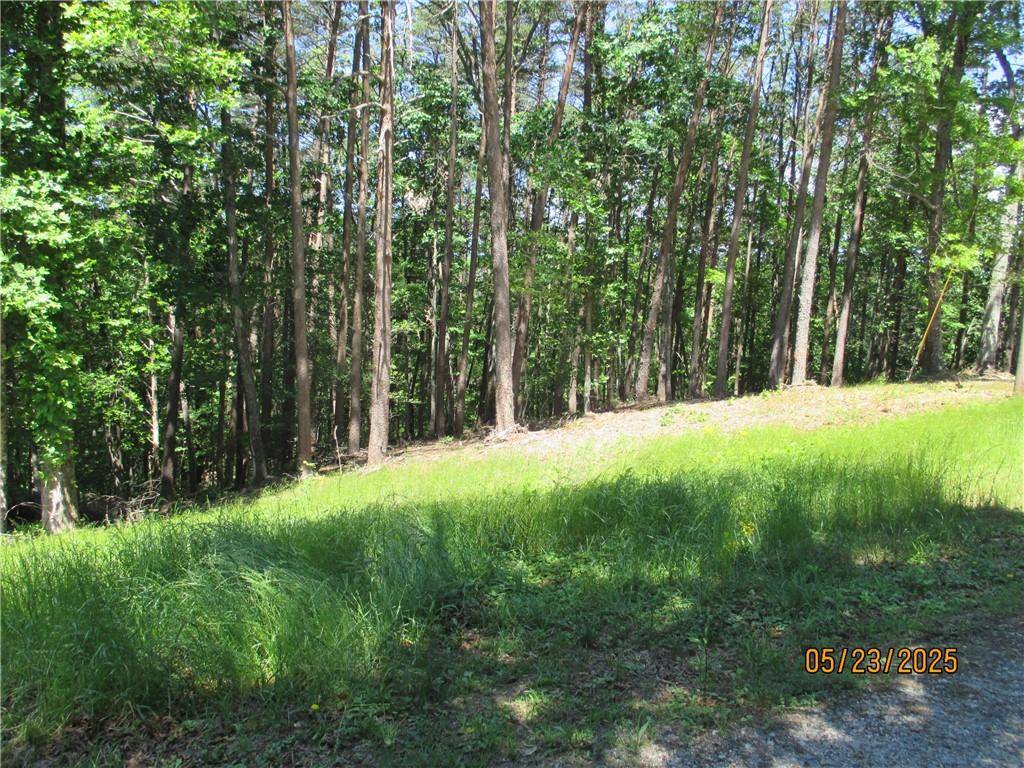 Dawsonville, GA 30534,LT 30 Eagle Ridge RD