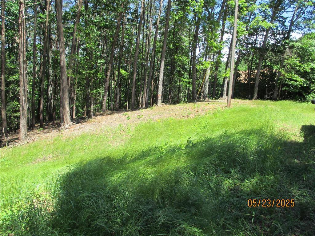 Dawsonville, GA 30534,LT 30 Eagle Ridge RD