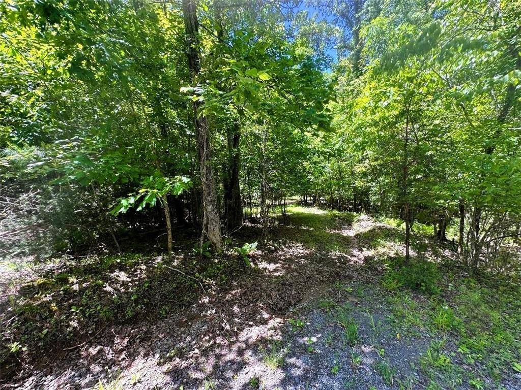 Blue Ridge, GA 30513,Tr. 7 Ada ST