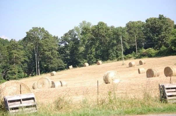 Adairsville, GA 30103,141 Holcomb SPUR NW