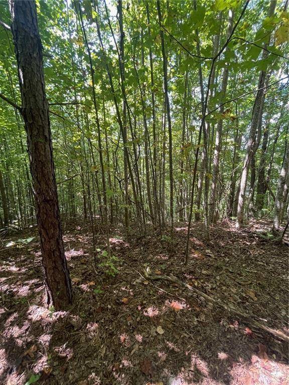 Tiger, GA 30576,0 Rainwater Trl