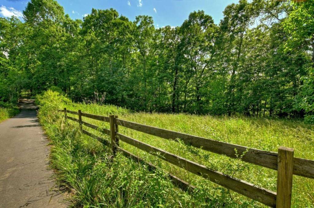 Blue Ridge, GA 30513,LT 15 Tanglewood Cove LN