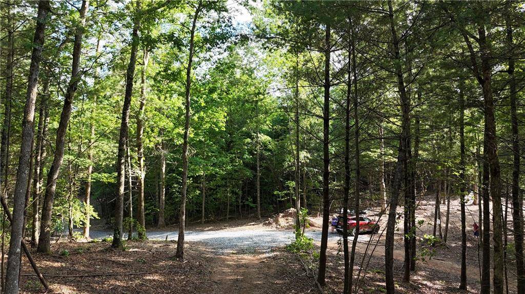 Ellijay, GA 30536,TR B East New Hope RD