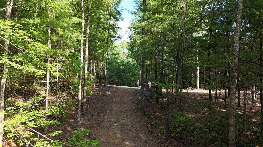 Ellijay, GA 30536,TR C East New Hope RD
