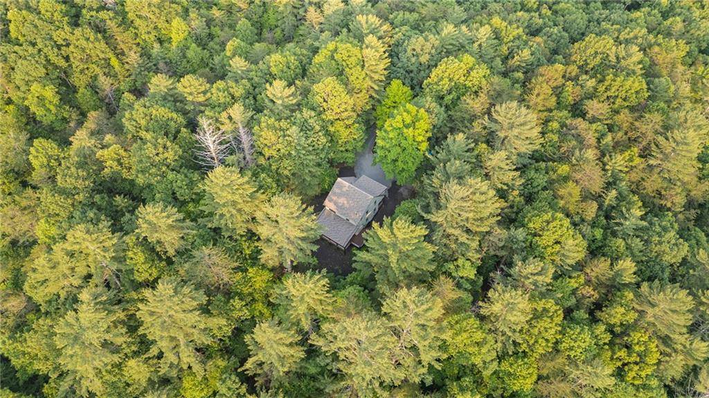Ellijay, GA 30536,130 PINK BRANCH TRCE