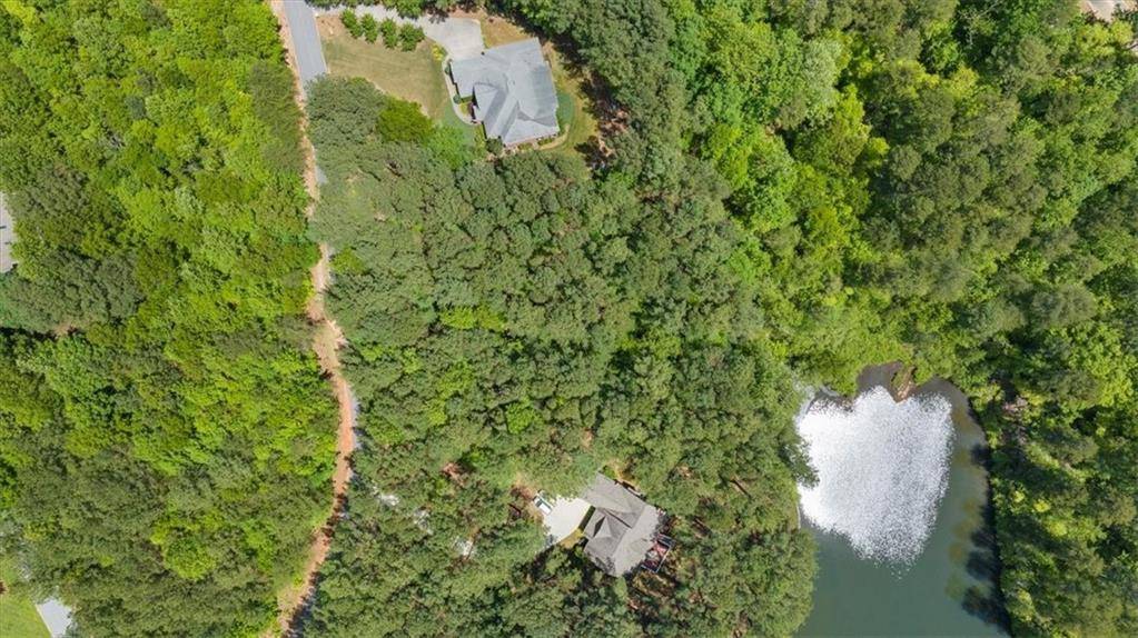 Clarkesville, GA 30523,0 Golden Delicious RD