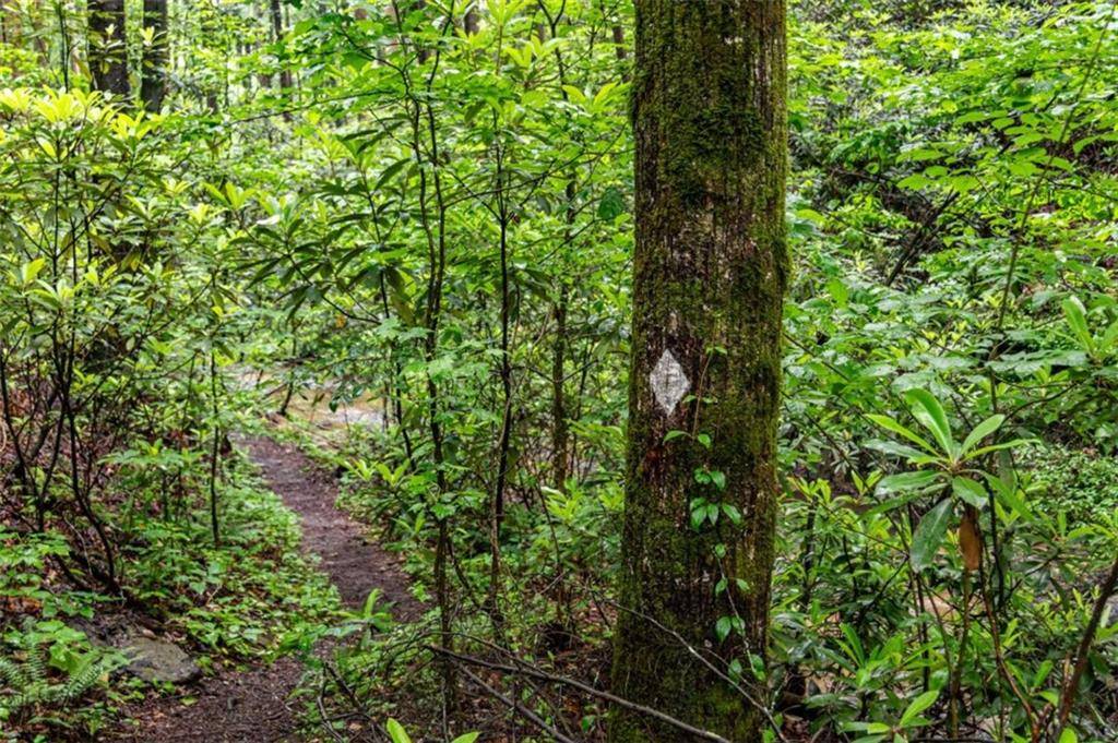 Blue Ridge, GA 30513,231 Conley Branch RD